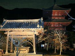 太山寺夜景2