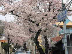 神戸桜坂